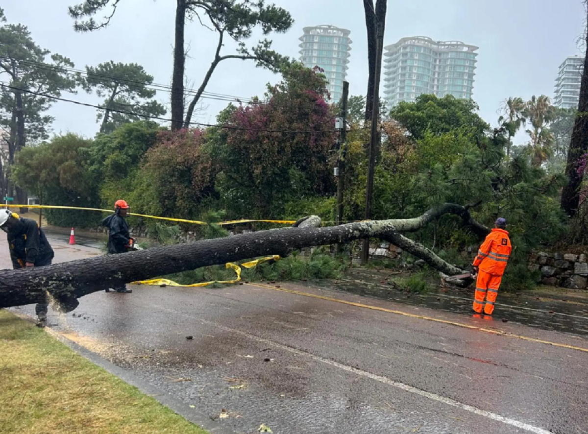 Lluvias y alivio hídrico tras el ciclón en Uruguay
