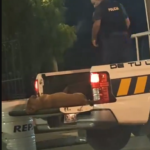 Caso de violencia policial en Uruguay contra animal