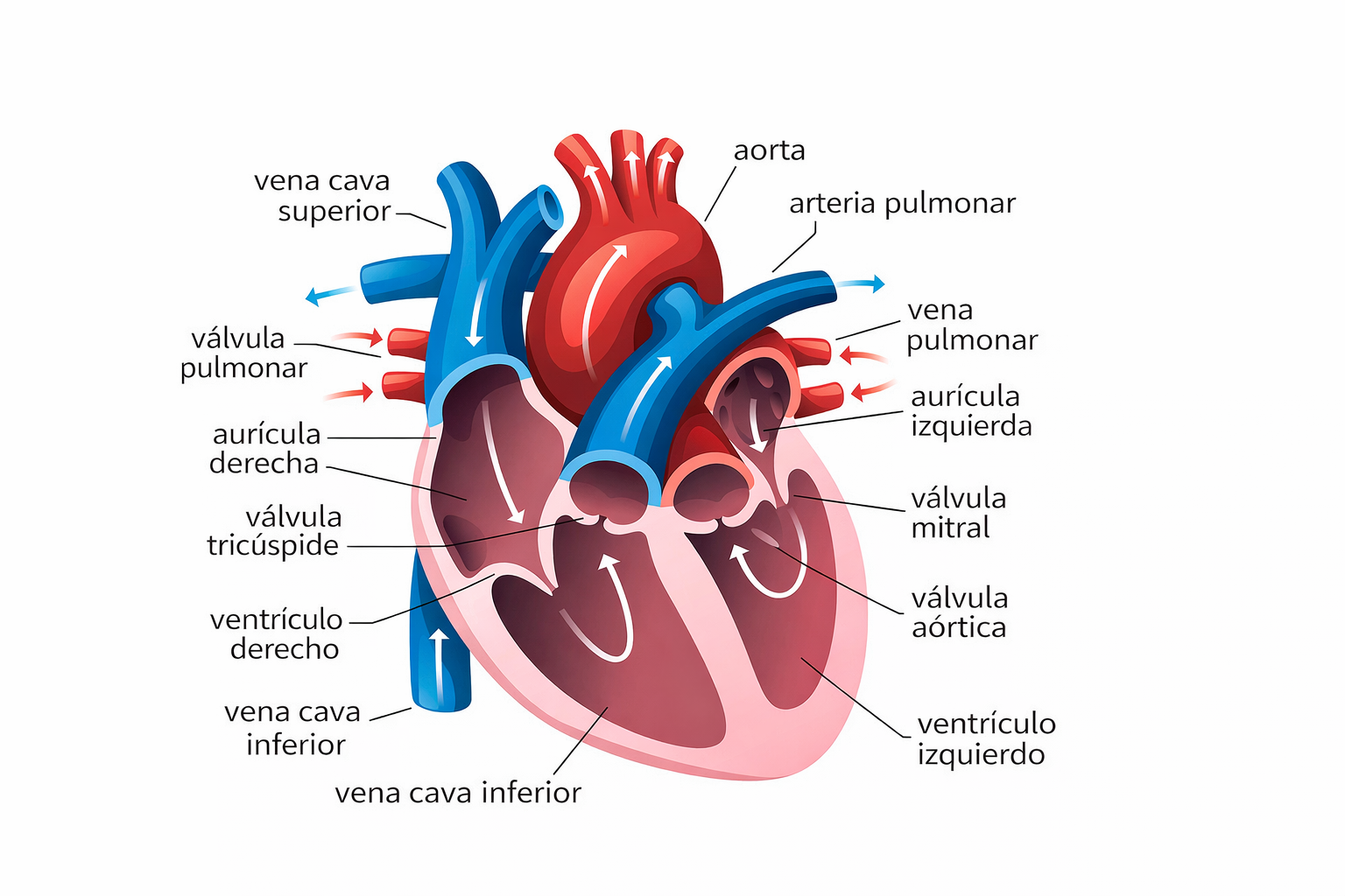 Tragedia en Rocha en la playa de Valizas