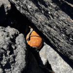 Un pescador encontró hoy una granada en el río Uruguay en Salto