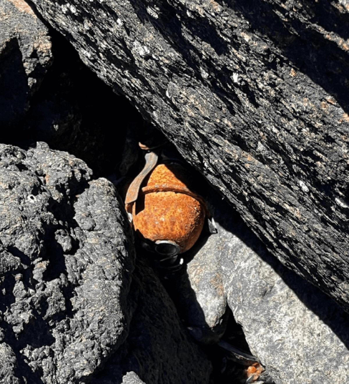 Granada en el río Uruguay hallazgo Salto Granada en el río Uruguay hallazgo Salto