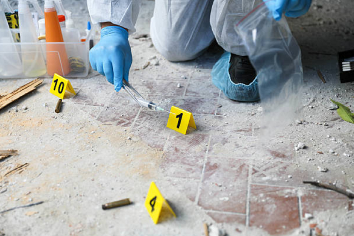 Homicidios en Honduras suman casi 300 en primeros 50 días de 2026 según OV-UNAH 15 Estadísticas de homicidios en Honduras 2026