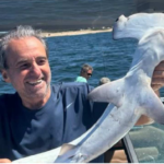 Captura de tiburón martillo en Punta del Este
