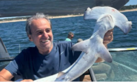Captura de tiburón martillo en Punta del Este