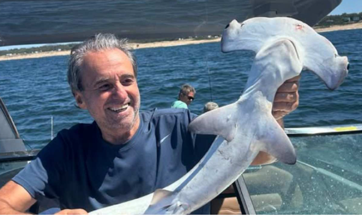 Conozca por qué está prohibido pescar el tiburón martillo en Punta del Este 15 Captura de tiburón martillo en Punta del Este