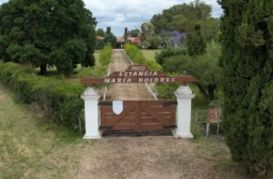 Entre promesas y malezas: la triste realidad de la Estancia María Dolores