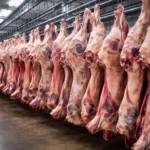 Nueva crisis laboral: el Frigorífico Casa Blanca reducirá su plantilla en Paysandú