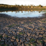 Vista de la represa Paso Severino con niveles bajos de agua por la sequía en Uruguay.