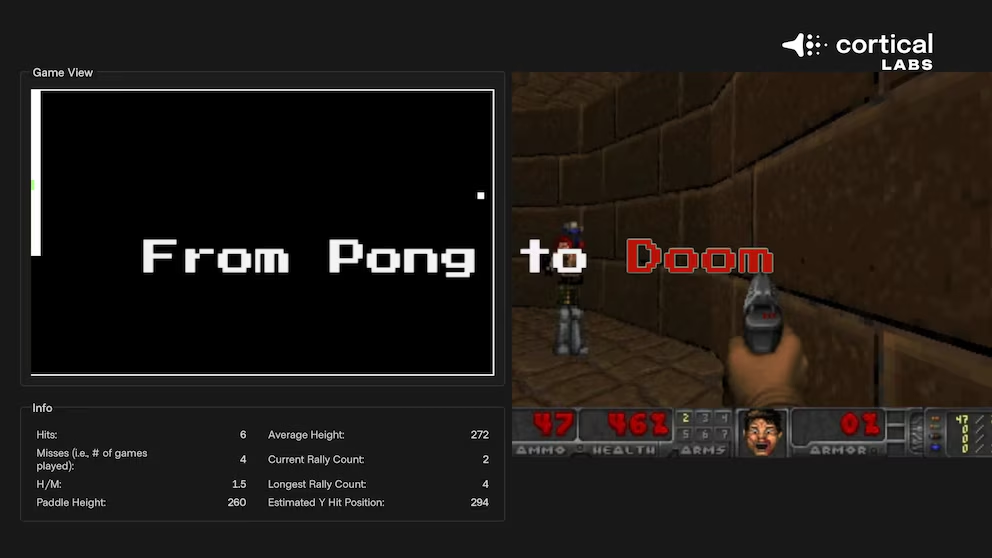 Computadora con neuronas humanas: el chip vivo que consume poco