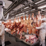 Frigorífico de Paysandú y el drama de 220 familias en la calle