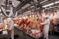 Frigorífico de Paysandú y el drama de 220 familias en la calle