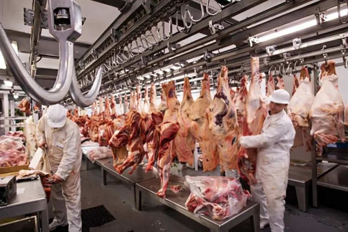 Frigorífico de Paysandú y el drama de 220 familias en la calle