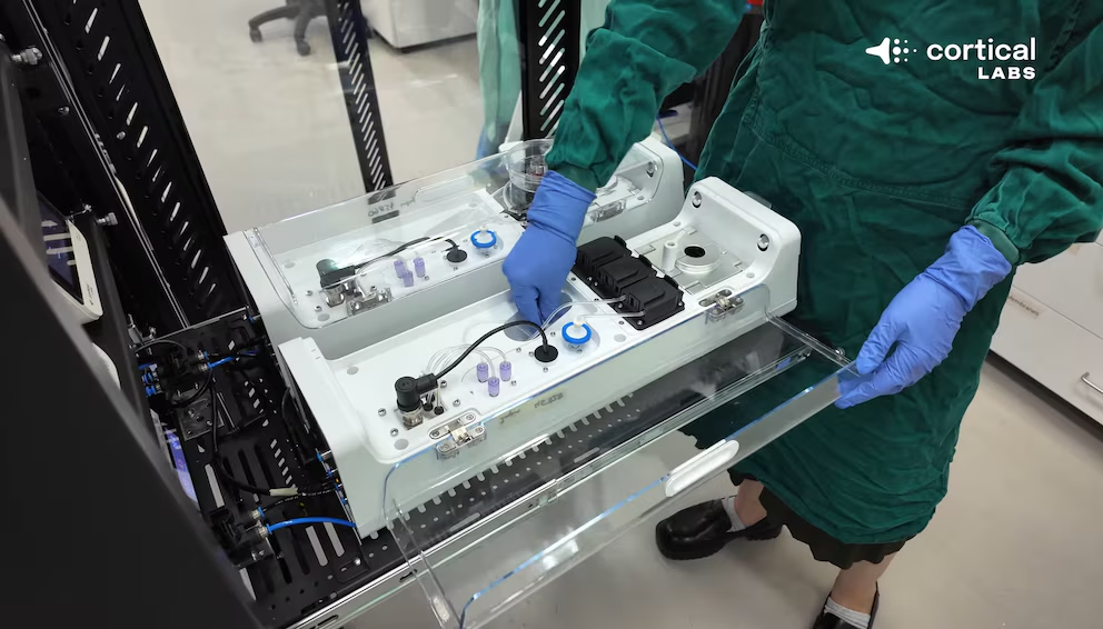 Computadora con neuronas humanas: el chip vivo que consume poco