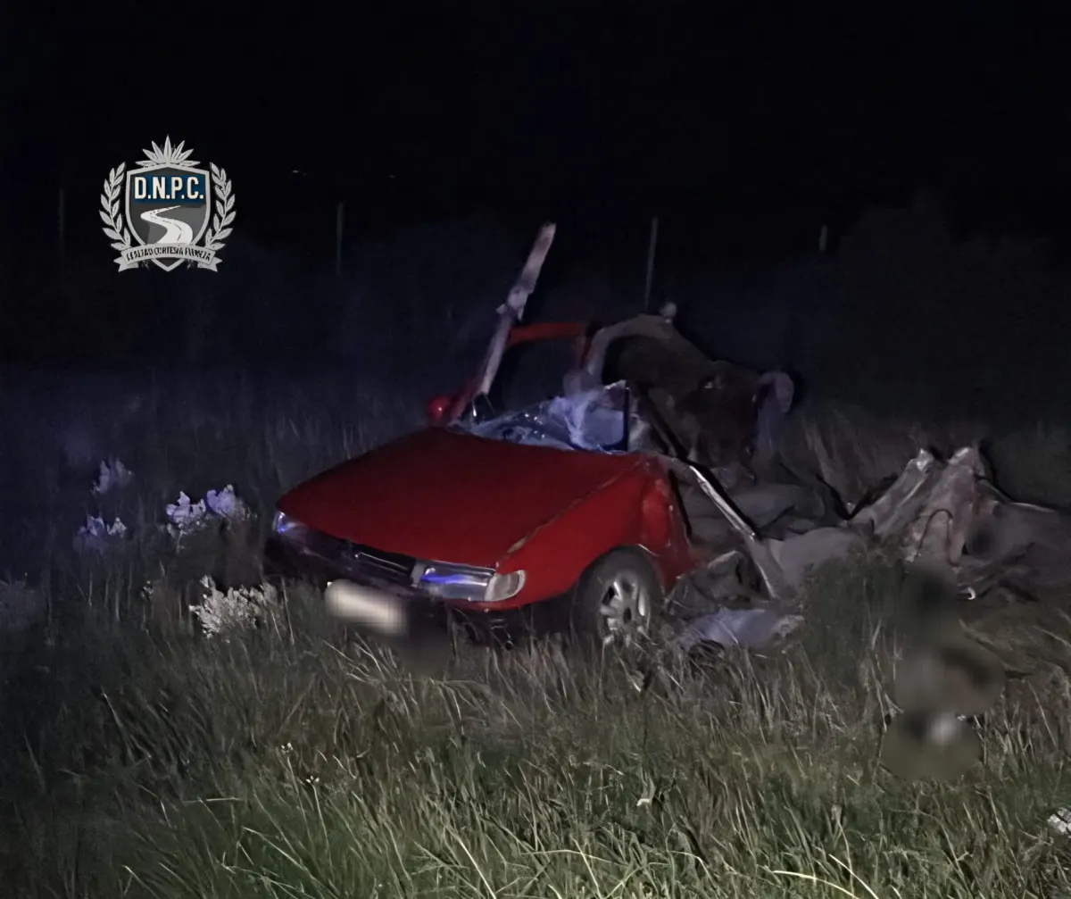 Siniestro fatal en Florida: Qué se sabe del accidente que dejó cuatro muertos