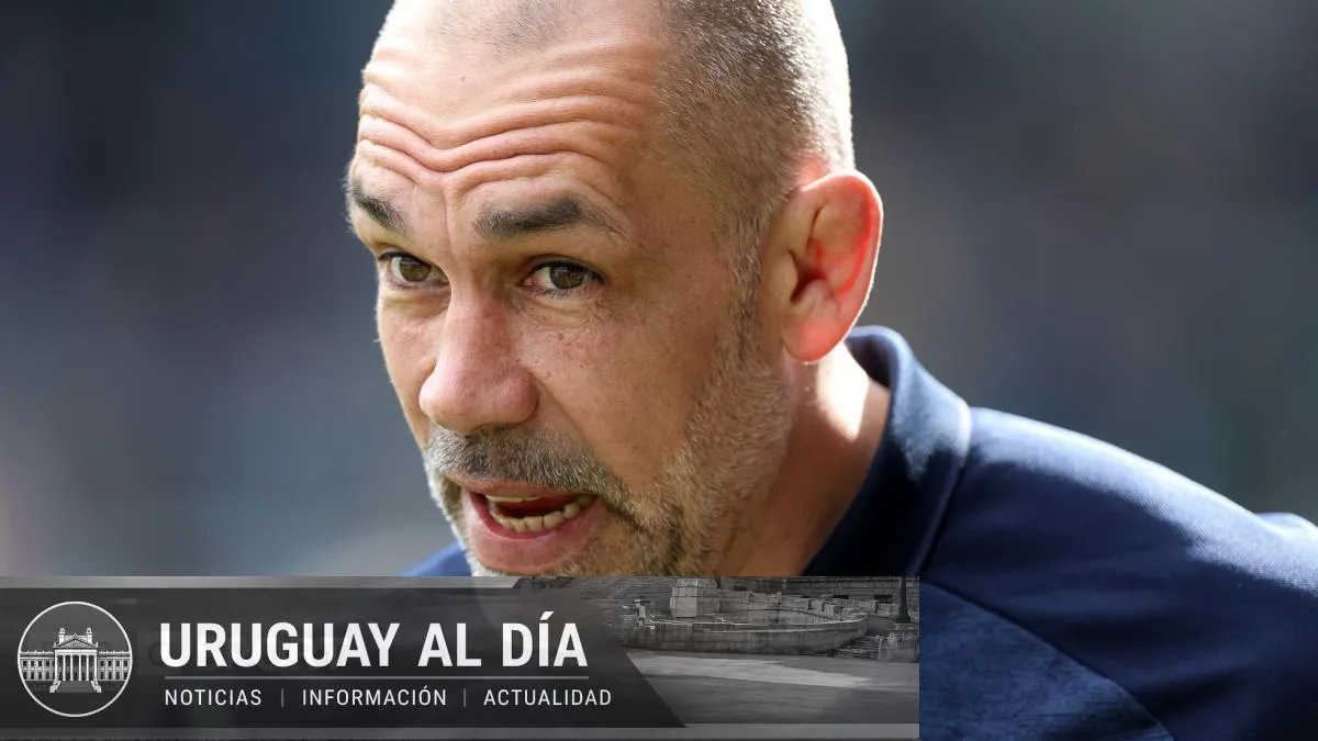 Alex Sanderson asegura que cuenta con los minerales necesarios para pj