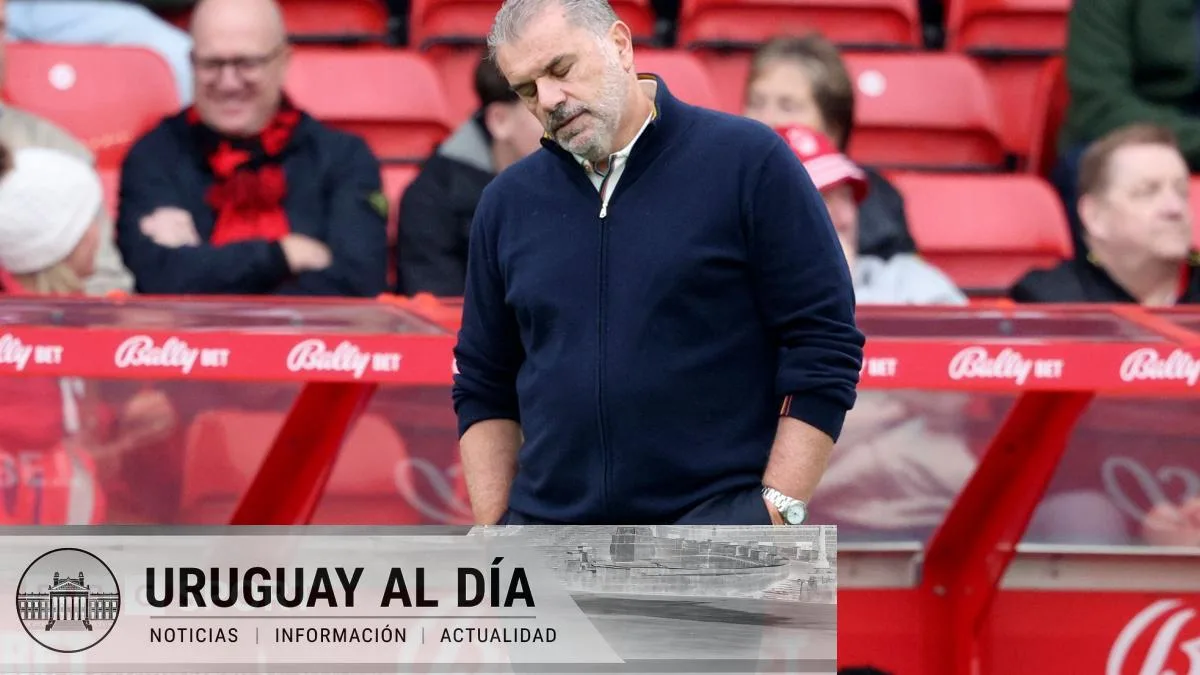 Cambios de entrenadores en la Premier League un analisis de