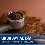 How to select the ideal coffee grinder to enjoy a good cup in Uruguay every day