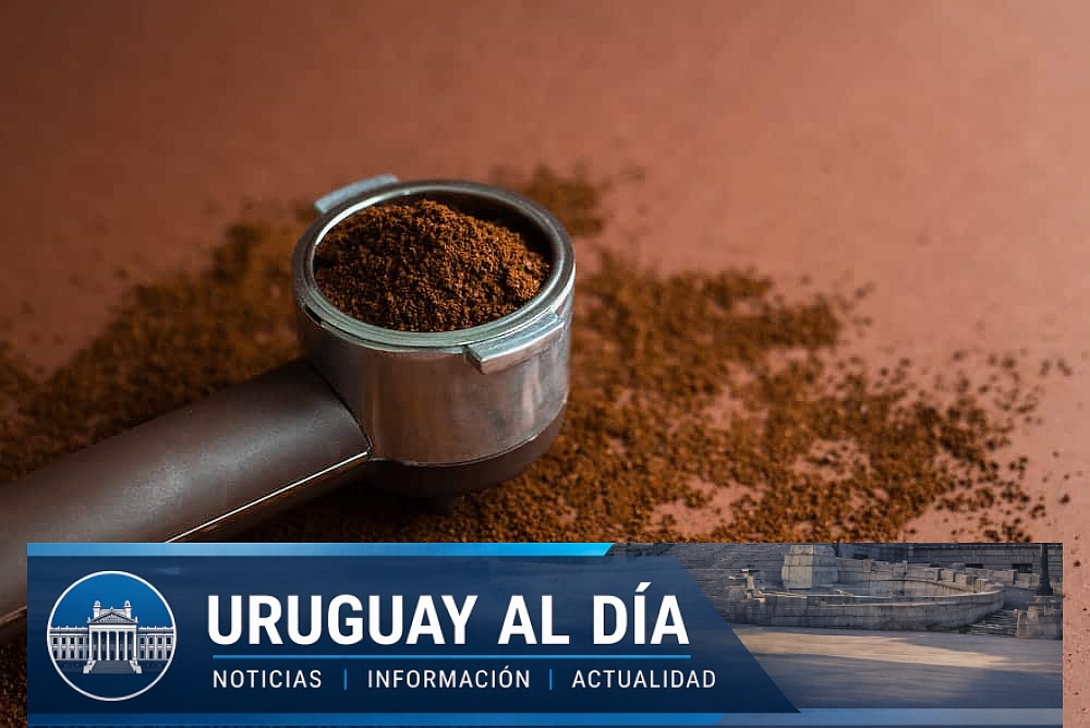 How to select the ideal coffee grinder to enjoy a good cup in Uruguay every day