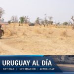 Nigerian army kills 25 suspected terrorists in armed confrontation in the northeast of the country