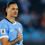 Borrador automático