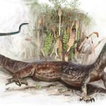 Un fósil de reptil jurásico revela la conexión entre serpientes y lagartos