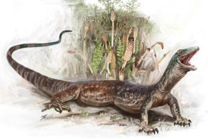 Un fósil de reptil jurásico revela la conexión entre serpientes y lagartos