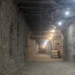 Resucitan microbios antiguos atrapados en el permafrost durante 40.000 años