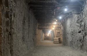 Resucitan microbios antiguos atrapados en el permafrost durante 40.000 años