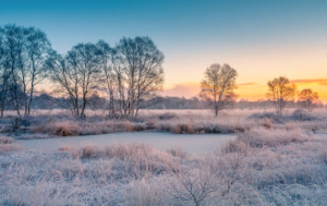 Inminente desplome térmico: se anuncian las primeras heladas del año