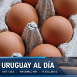 Cinco métodos para cocinar huevos en microondas que podrían arruinar tu desayuno en Uruguay