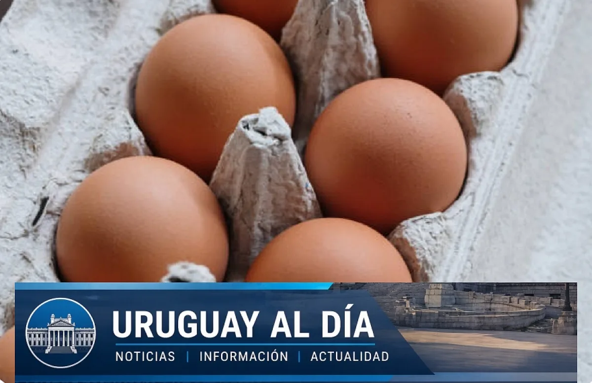 huevos pj