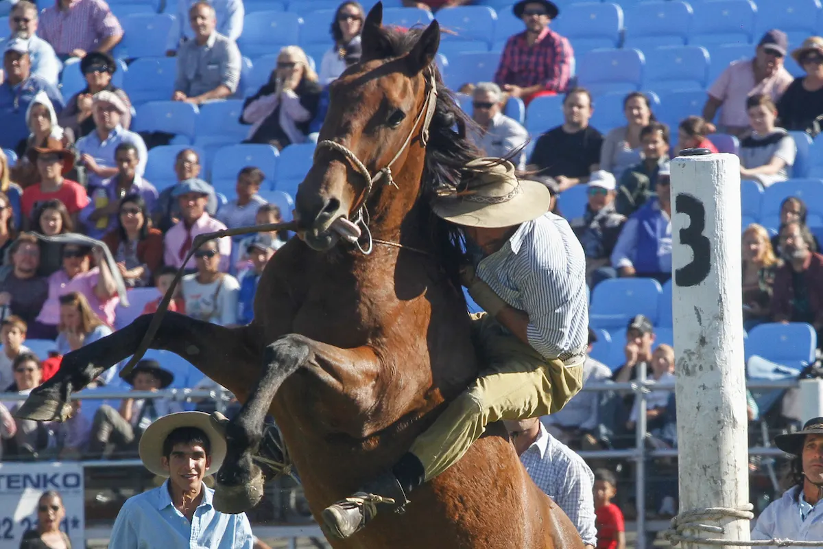 Éxito total: La Semana Criolla Montevideo cierra con entrada gratuita tras recibir a 80 mil personas