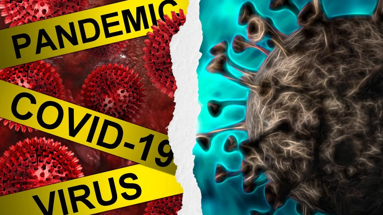 Hantavirus y COVID-19: tensiones y diferencias que agitan el panorama de salud global