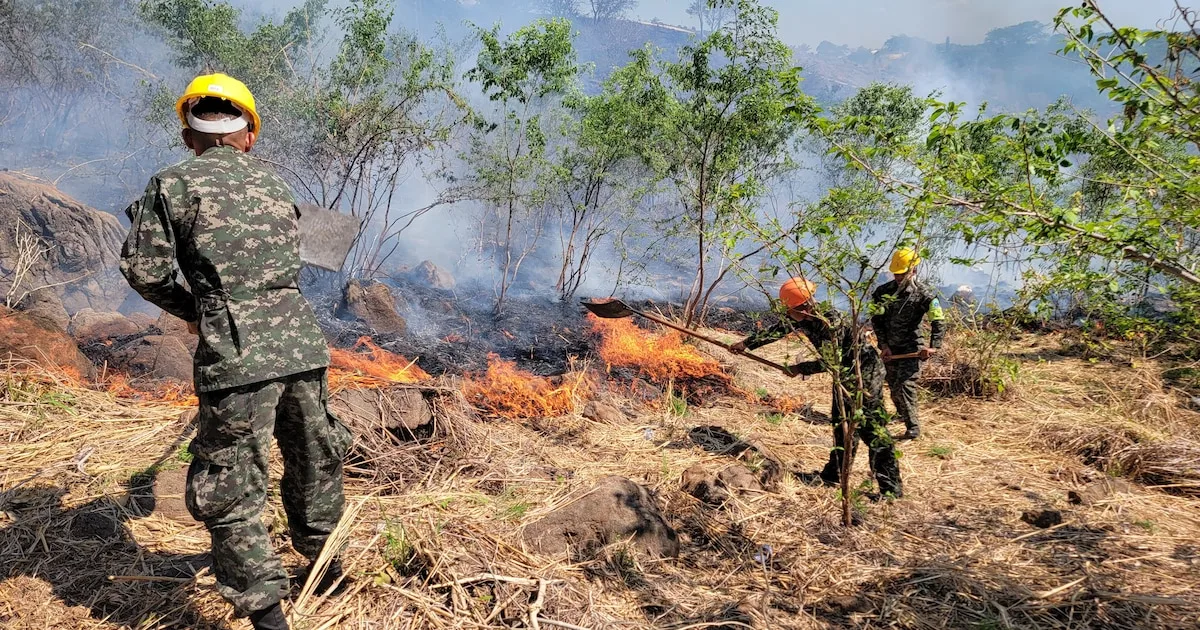 Brigadas y voluntarios combaten el fuego en el Parque Nacional Celaque, Honduras.