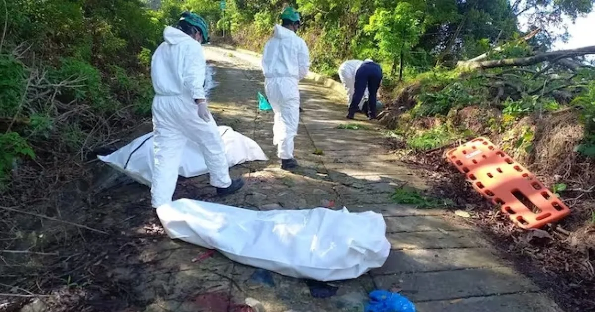 Violento asesinato de ingenieros en Quindío: misterio y miedo en zona rural