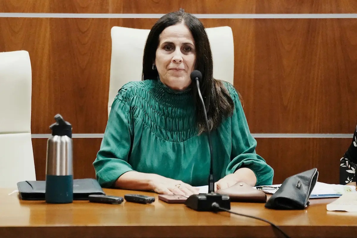 Borrador automático