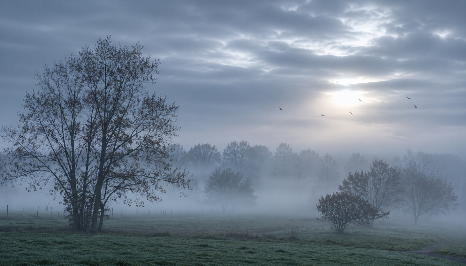 Campo uruguayo cubierto de escarcha tras una madrugada de helada intensa.