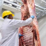 Personal de laboratorio analizando muestras de carne para detectar residuos químicos.