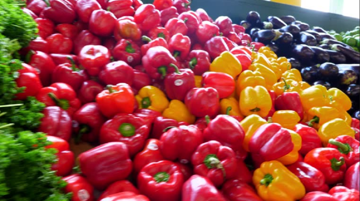 Cajas de cultivo afectadas tras el temporal que provocó el aumento de precio del tomate y morrón en los mercados.