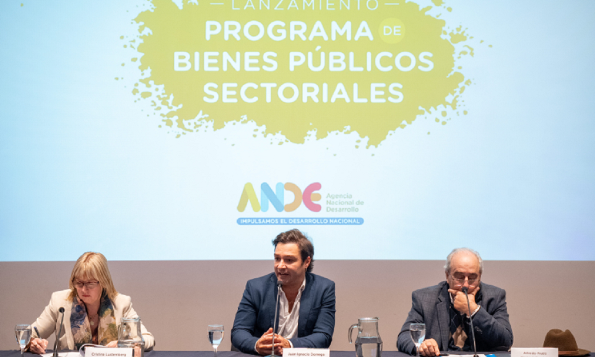 Juan Ignacio Dorrego, presidente de la ANDE, en conferencia de prensa
