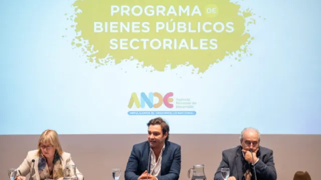 Juan Ignacio Dorrego, presidente de la ANDE, en conferencia de prensa