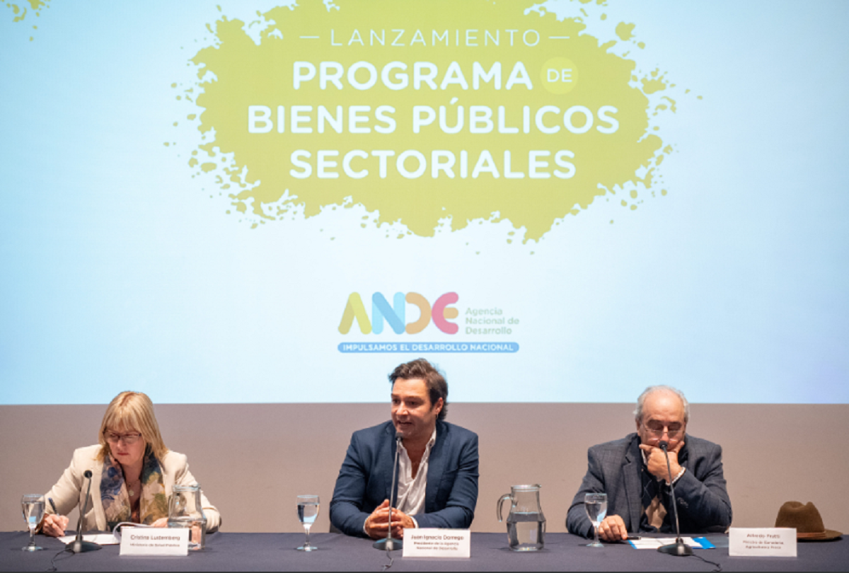 Juan Ignacio Dorrego, presidente de la ANDE, en conferencia de prensa