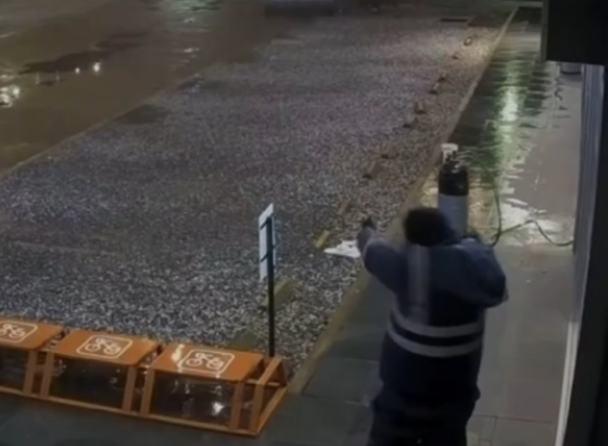 Daños estructurales en la sucursal bancaria tras la explosión en el cajero de Parque Miramar.