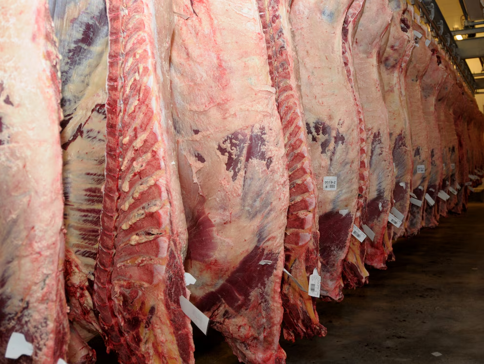 se desploma el consumo de carne en Argentina