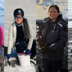 Las cuatro científicas peruanas reconocidas por la iniciativa 100PolarWomen por sus aportes a la Antártida.