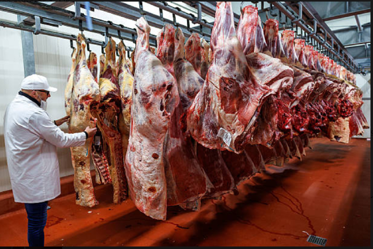 Las exportaciones en Uruguay crecen en julio por el impulso de la carne y la celulosa.