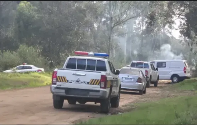 Efectivos de rescate trabajan tras confirmarse que dos hombres murieron en Maldonado aplastados por un árbol