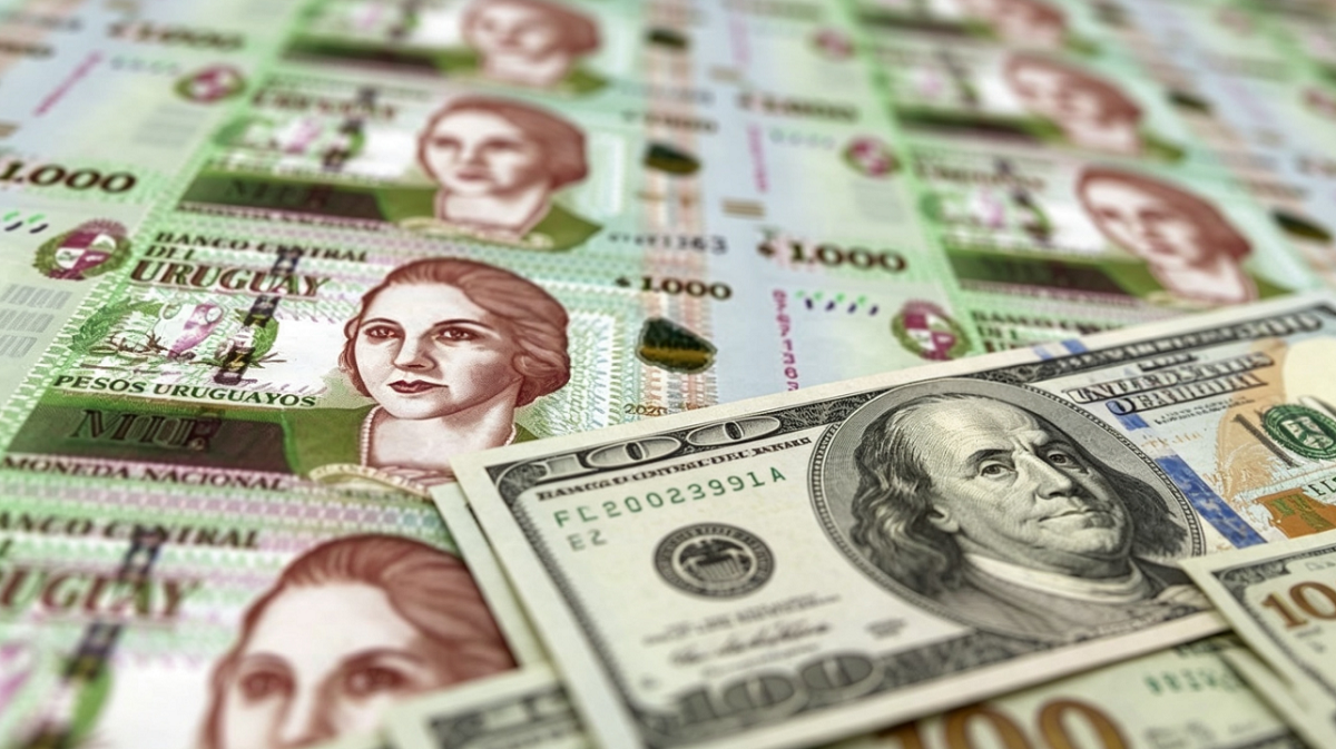 Billetes de moneda extranjera y moneda nacional en referencia al ahorro en dólares en Uruguay