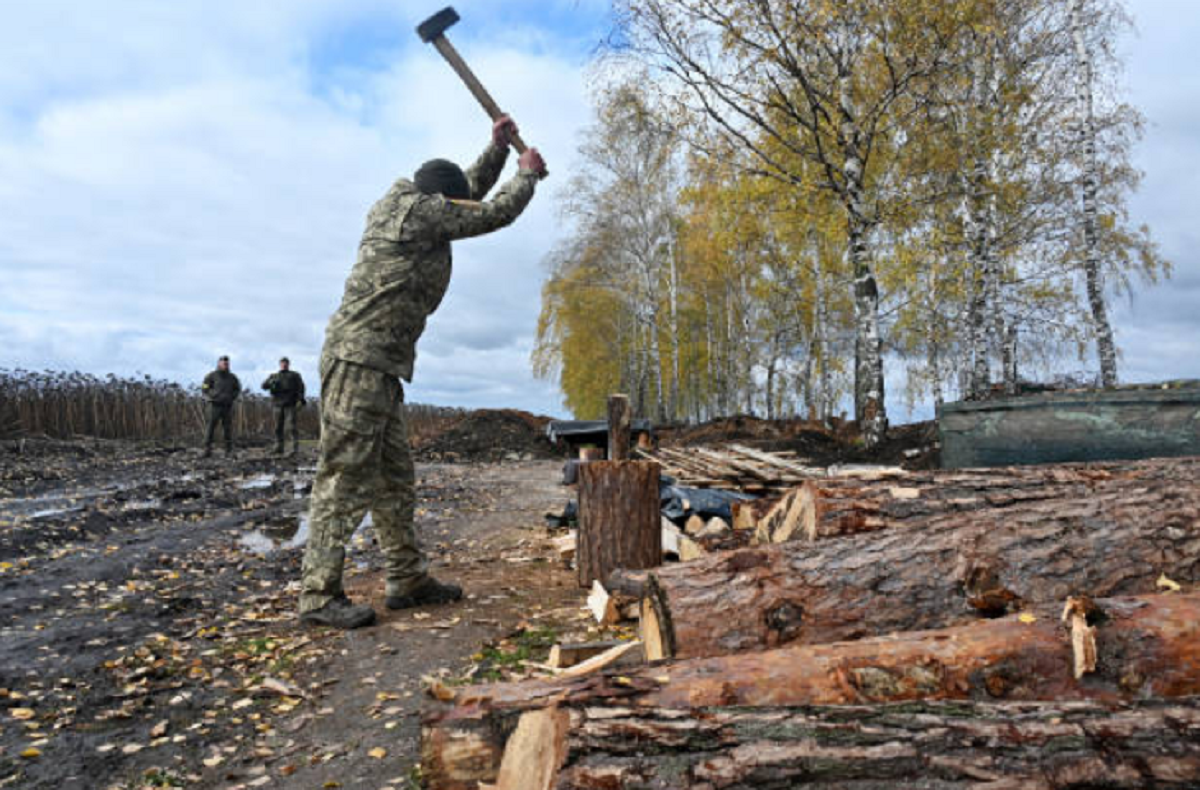Predio forestal similar al señalado en la investigación por denuncia de exsoldado