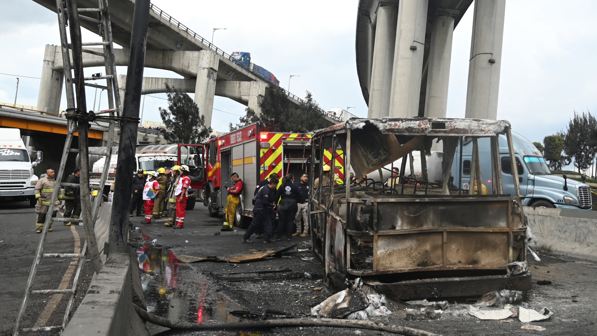 Un accidente en una zona crítica de tránsito entre dos estados provocó un aumento significativo de víctimas mortales y heridas en el transporte público.
